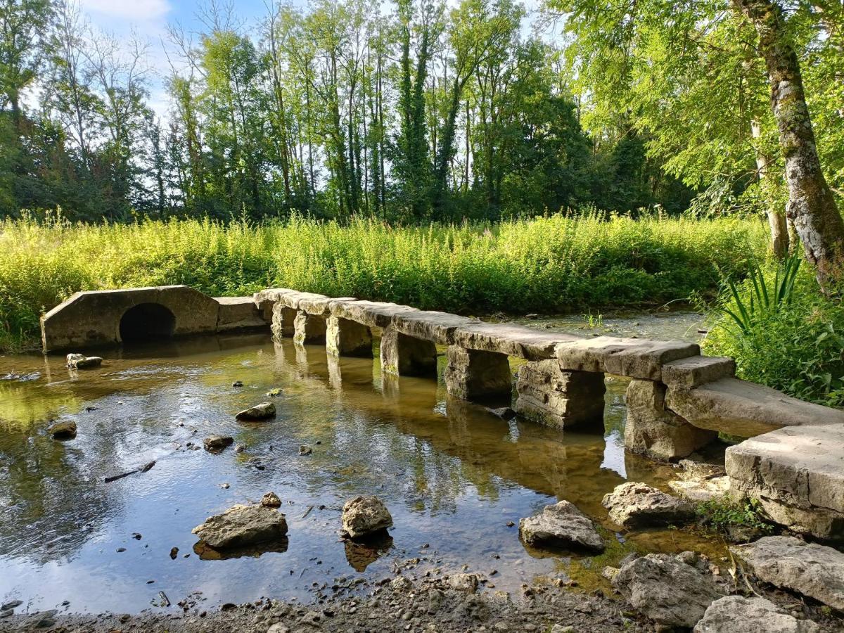 Mettez vous au vert près du château de Vaux le Vicomte en sous sol semi enterré Villa Maincy Camera foto